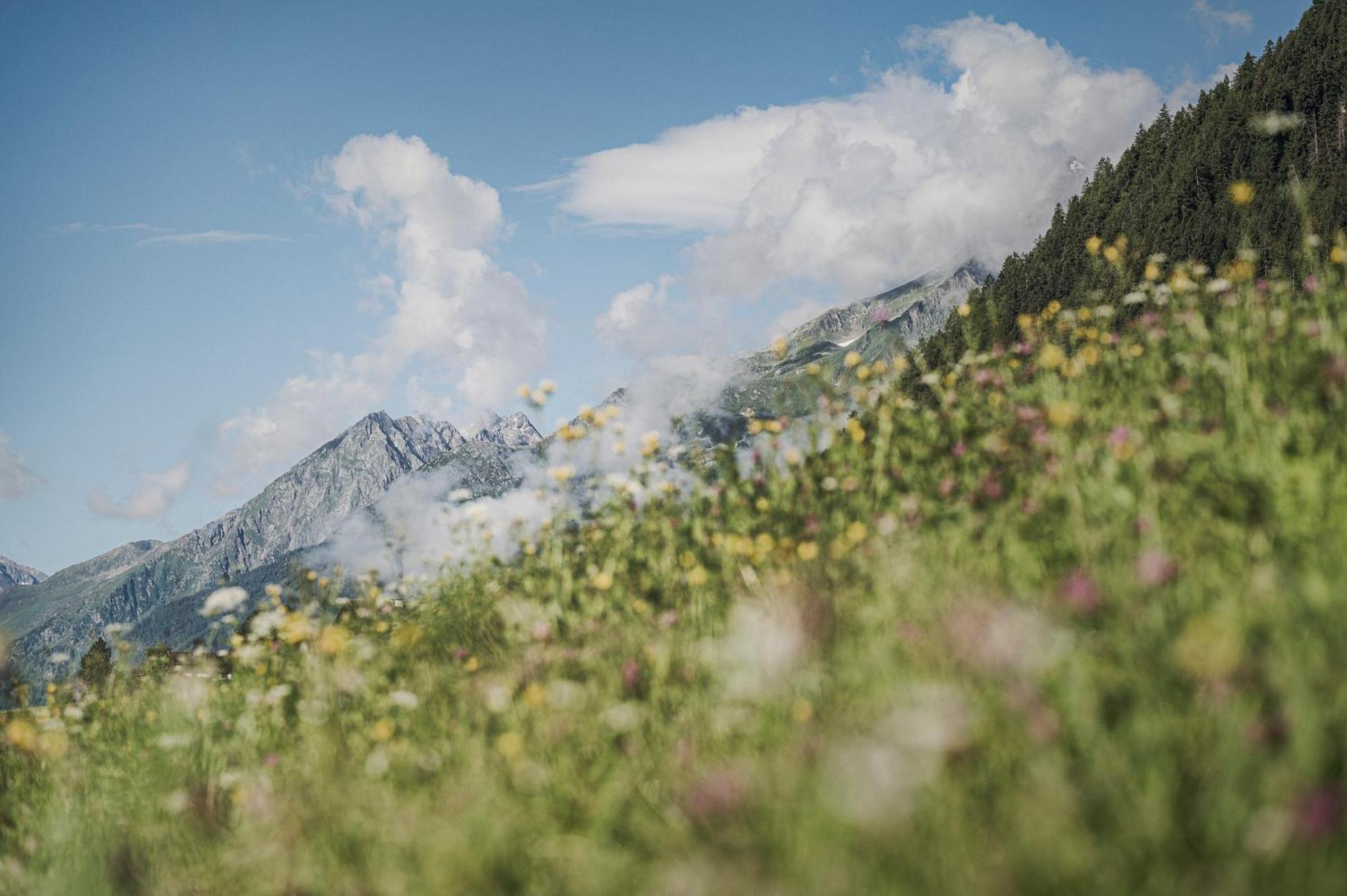 Biohotel Rastbichlhof Neustift im Stubaital Luaran gambar